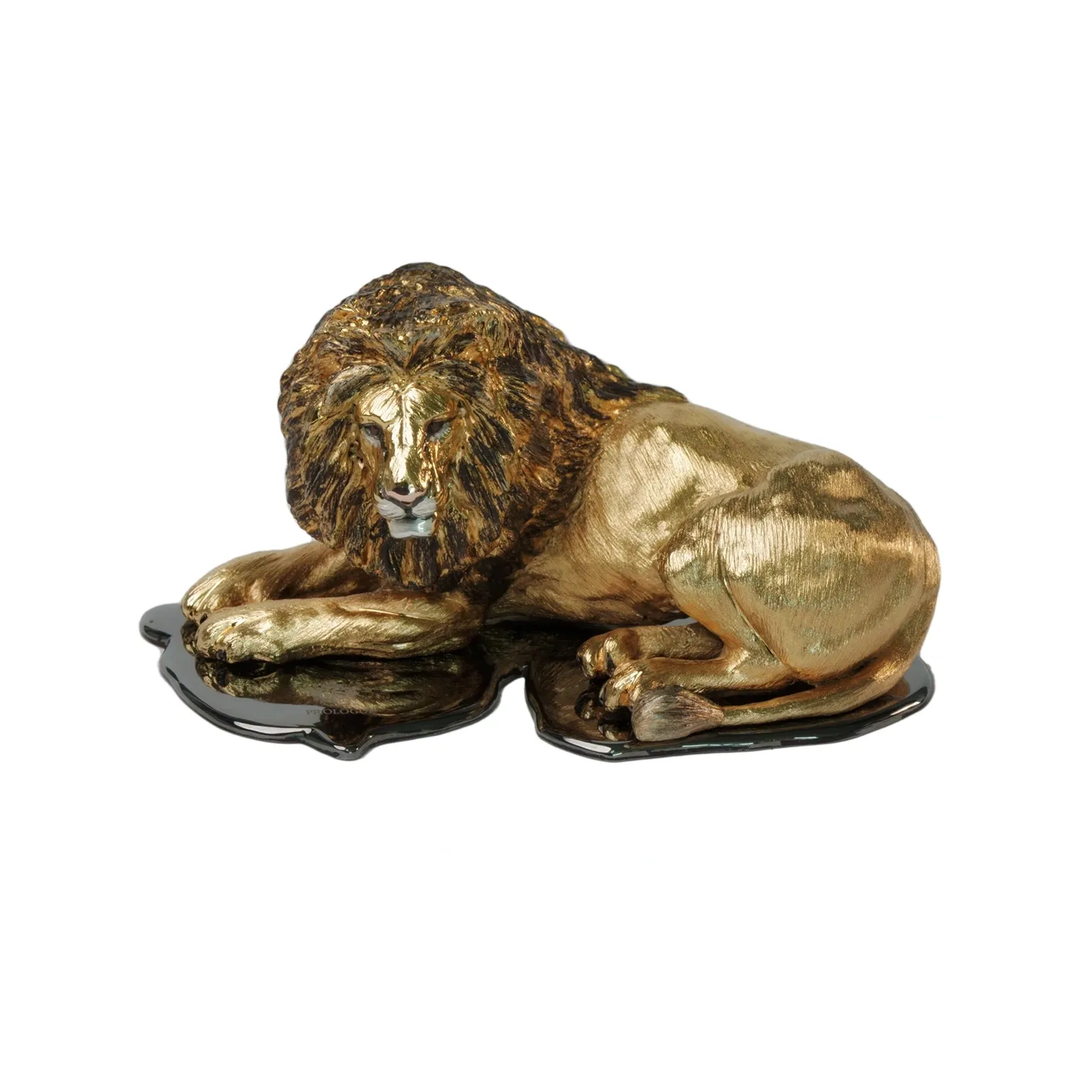 Lion Shadow